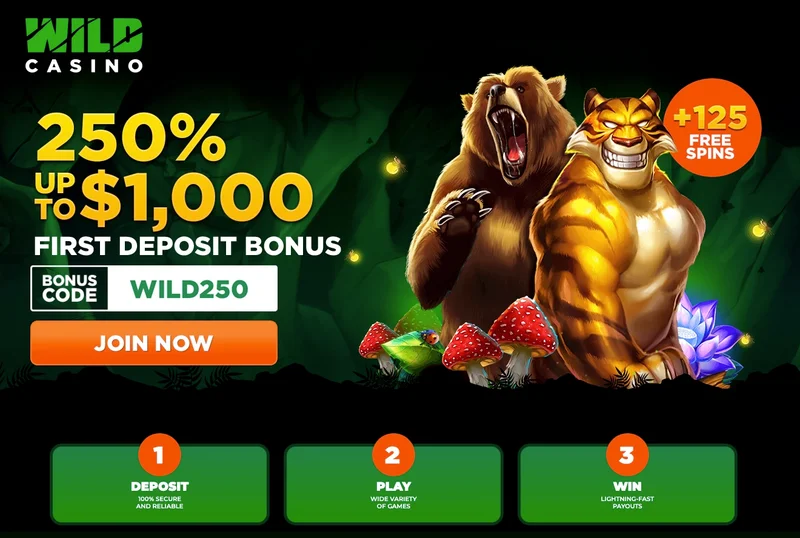 Wild Casino Homepage